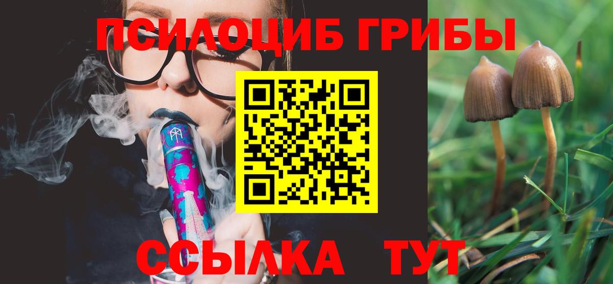 Галлюциногенные грибы Psilocybe  Вход с VPN  Каменка 